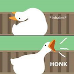 Goose-go-HONK's Avatar'