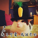 Jackson_Chirs's Avatar'