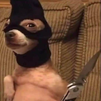 GinaCalled's Avatar'