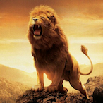 TIREUR_L_ELITE's Avatar'