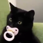 IIIlllIIIIII's Avatar'