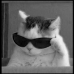 MonkeeeeyyyUwU's Avatar'