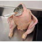 Gilf..hunter's Avatar'