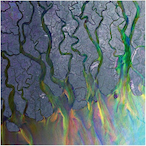 Tessellate.'s Avatar'