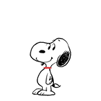 Chin_YYLAM's Avatar'