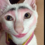 ComedordeCuu's Avatar'