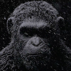 MeineAnsagen's Avatar'