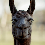 Lamer59's Avatar'