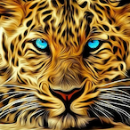 ThyAchillez's Avatar'