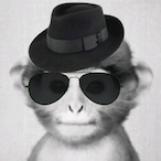 Sensibol's Avatar'