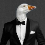 uJoaozZ's Avatar'