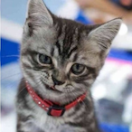 ws yu there's Avatar'