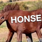 HON5E's Avatar'