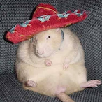 WarBorn Chad's Avatar'