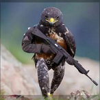 KILL_lll's Avatar'