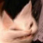 im brickedll's Avatar'