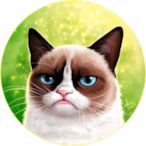 hyperlord1337's Avatar