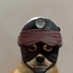 Urushi.AD's Avatar'