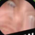 DanDuhLions's Avatar'