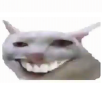 no1sebomb's Avatar'