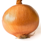 AnActualOnion's Avatar'