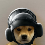 Beavongus's Avatar'