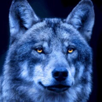 IRobsterJR's Avatar'