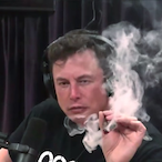 Blunt_-_Smoke's Avatar'