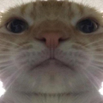 NethramxD's Avatar'