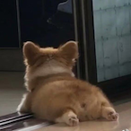 serentyce's Avatar'