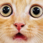 Way2S3xy4U's Avatar'