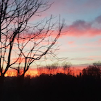 VeeDreRonPS4's Avatar'