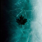 Dragon.OGLA's Avatar'