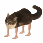 BashkimGaming's Avatar'