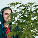 guest-PiLteF0g's Avatar'