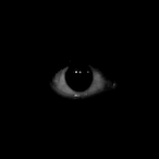 Dionin18's Avatar'