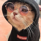 Unc Driving's Avatar'