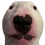 thommc12's Avatar'