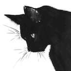 CATpresident714's Avatar'