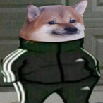 TheDogeDude's Avatar'