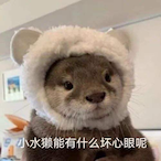 blessmewcoc's Avatar'