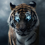 Aniss8423's Avatar'