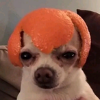 KekMitSpeck__'s Avatar'