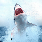 SteeleyDaTruth's Avatar'