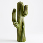 Cactus.WRLD's Avatar'