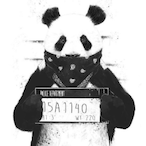 BigBonez's Avatar'