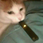 lilzigzag's Avatar'