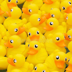 Pato_amarelo123's Avatar'