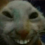 Maximkb's Avatar'
