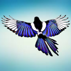 AV001-Magpie's Avatar